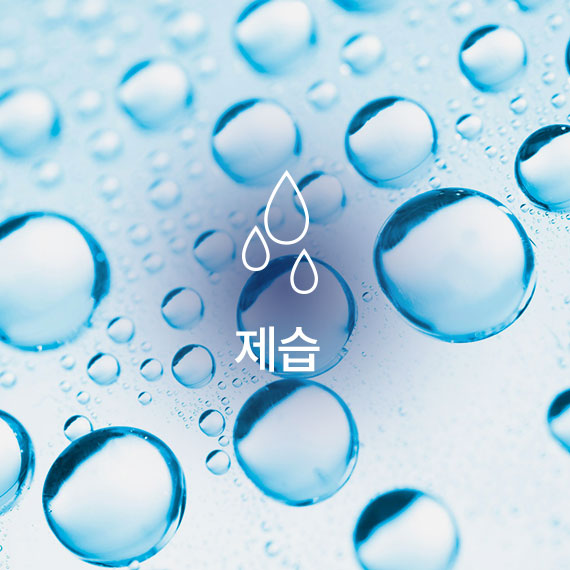 제습