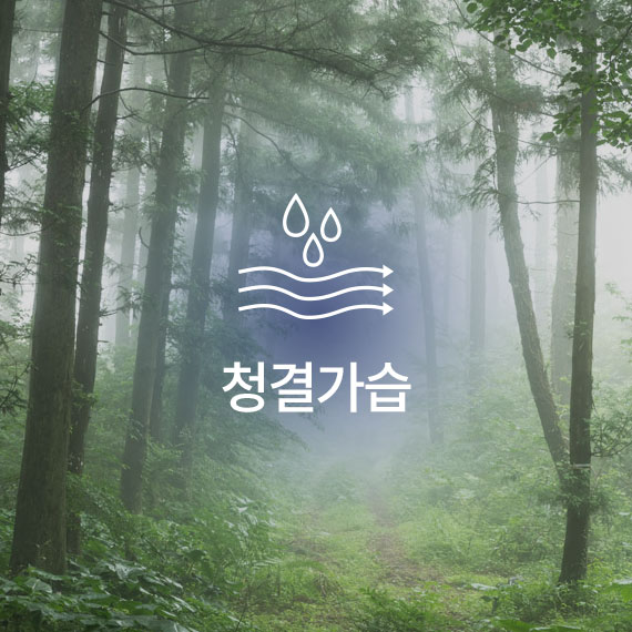 청결가습